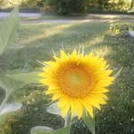 Deloris Jordan - Facebook