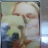 Delores Kidd - @delores.kidd6 - TikTok