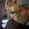 Delores Kidd - @delores.kidd3 - TikTok