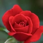 Delores Mason - @deloresmason395 - Instagram