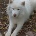 Deloris Moore - Facebook