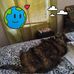 Delores Payne - Facebook