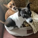 Delores Roberts - @daisy.pemm.60 - Instagram