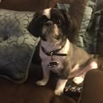 Delores Rogers - @teenichie - Instagram