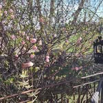 Dolores Roth - @doloresroth4 - Instagram