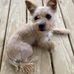 Deloris Thomas - Facebook