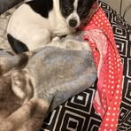 Deloris Weeks - Facebook