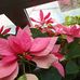 Deloris Wright - Facebook