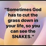 Delroy Smith - @delroy.smith.775 - Instagram