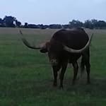 Delvin Smith - @delvinsmith53 - Instagram