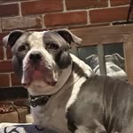 Tammy DeMarco Cross - @tammy.d.cross.7 - Instagram