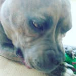 Demarcus Brooks - @curry_mini_14 - Instagram