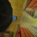 Demarcus Brooks - Facebook