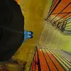 Demarcus Brooks - @demarcusbrooks4 - TikTok