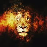 Demarcus Evans - @demarcus.evans7 - Instagram
