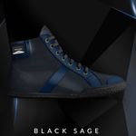 Demarcus Lee - @blacksage2020 - Instagram