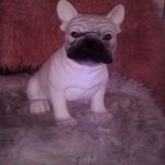 Demaris Smith - @demaris350 - Instagram