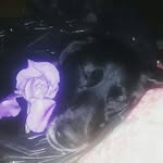 Demetrius Blake - @trippy_dude_143 - Instagram