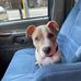 Demetrius Cooper - Facebook
