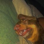 Demetrius Covington - @babykmetrius1212 - Instagram
