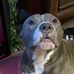 Demetrius Dillon - Facebook