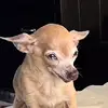 Dymetrius_ - @dymetrius_ - TikTok
