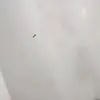 kenjay - @demetrisgarrison - TikTok