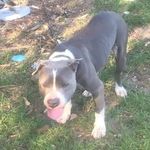 Demetrius  Gray - @demetriusgray29_n_yo_point - Instagram