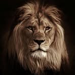 Demetrius Jamison - Facebook