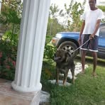 Demetrius Major - Facebook