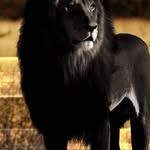 Demetrius Deon Pearson - @demetriusd.pearson - Instagram