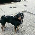 Demetrius Ross - @d.ross28 - Instagram