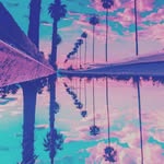 demetrius landon warren - @im_a_flamingo_a_pink_flamingo - Instagram