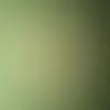 Demetrius Warren - @demetrius.warren - TikTok