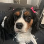 Demi Anthony - Facebook