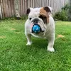 DB - @demibatesssss - TikTok