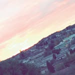 @demi_brady_courtney_spam_ - Instagram