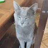 Demian - @demian_cain - TikTok