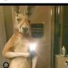 Demian carrillo - @carrillo_demian - TikTok