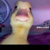Demi - @demicarter424 - TikTok