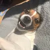 demicook8 - @demicook8 - TikTok