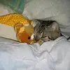 demicook - @deb23020 - TikTok