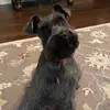 demicooksforus - @demicooksforus - TikTok