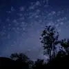 Demi_Gregory - @demi_1705 - TikTok