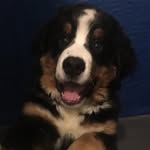 Demi - @_demi_hunter_ - Instagram