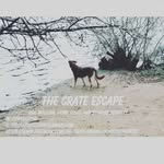 Demi Hurst - @thecratestescape - Instagram