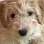 김용지 - @demi_kimee - Instagram