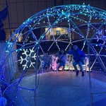 Demi Lam - @demi_lam2021 - Instagram