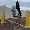🤍🐎𝒟𝑒𝓂𝒾-𝐿𝑒𝑒🐎🤍 - @demilee2024 - TikTok