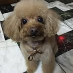 Demi  Lin - Facebook